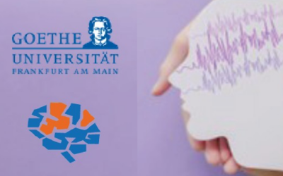 -LRS-  Wie verarbeitet mein Gehirn Sprache