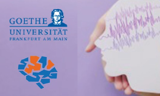 -LRS-  Wie verarbeitet mein Gehirn Sprache